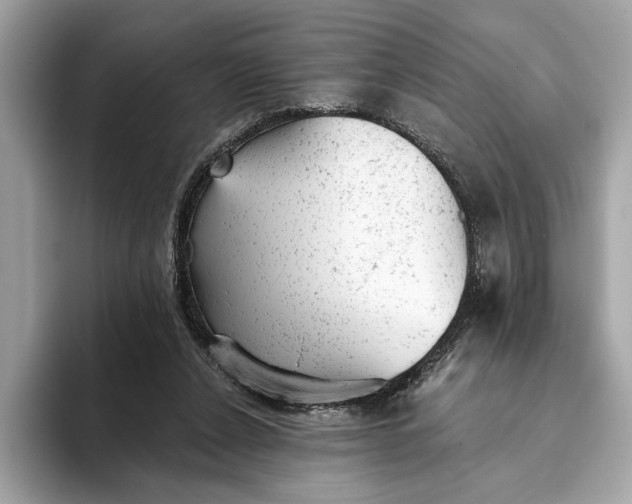 X0000093420256200710261004