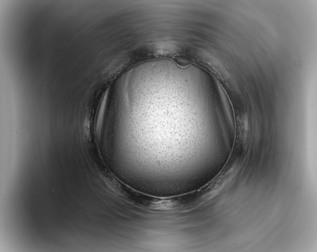 X0000093420269200710261005