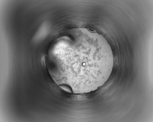 X0000093420286200710261005