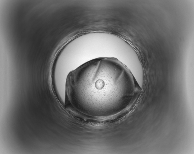 X0000093420293200710261004