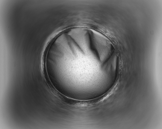 X0000093420294200710261004