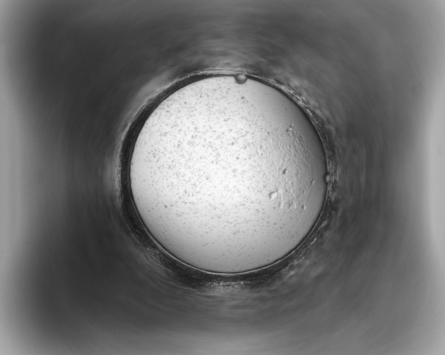 X0000093420296200710261004