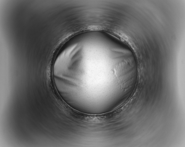 X0000093420297200710261004