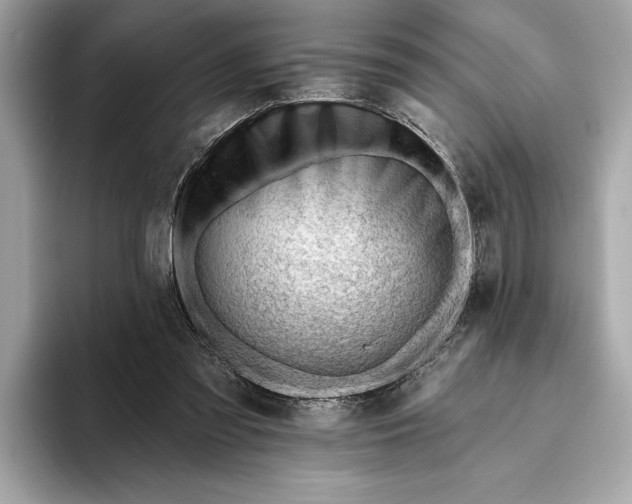 X0000093420301200710261004