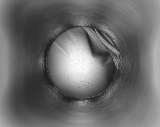 X0000093420306200710261004