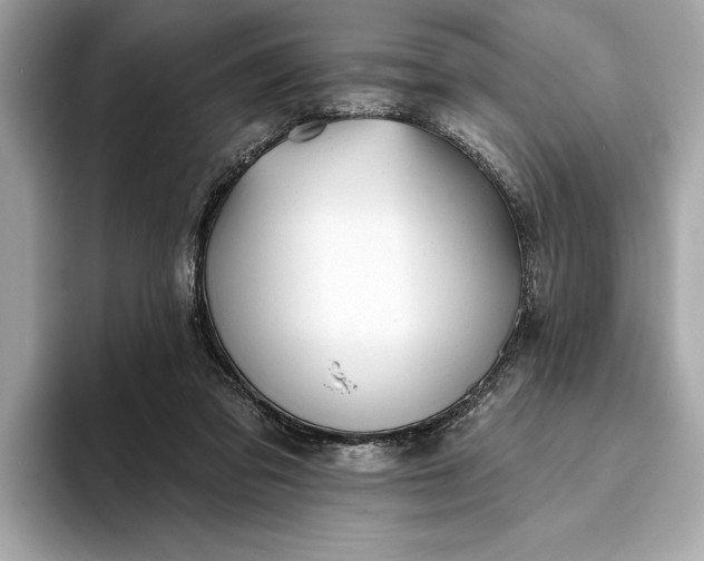 X0000093420309200710261004