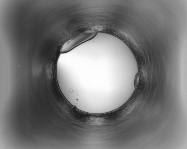 X0000093420311200710261004