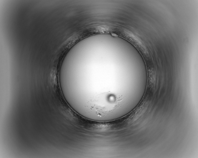 X0000093420313200710261004