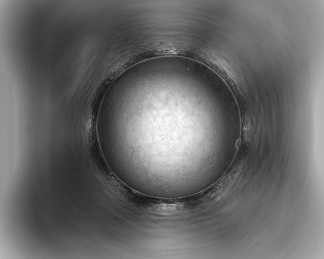 X0000093420314200710261004