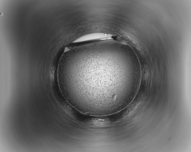 X0000093420315200710261004