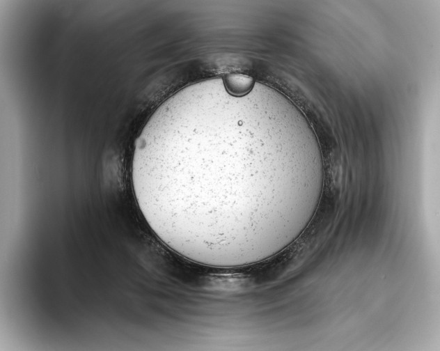 X0000093420316200710261004