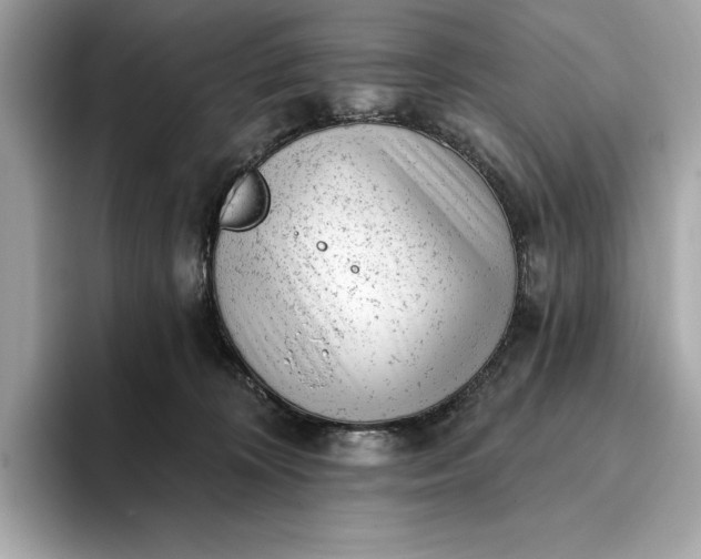 X0000093420324200710261004