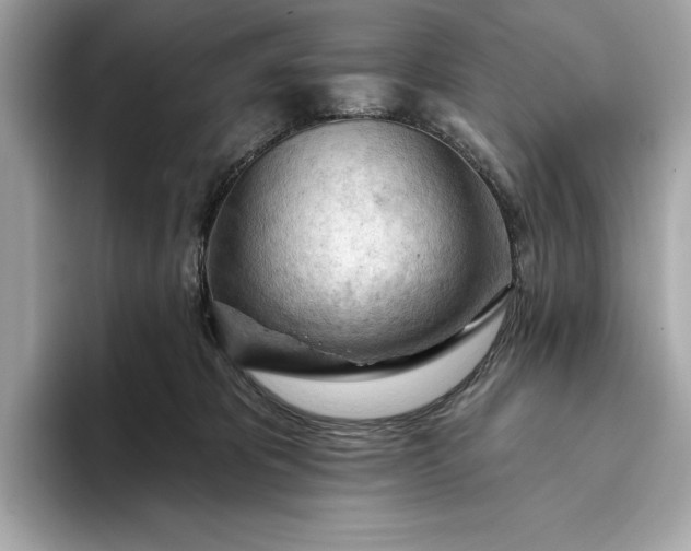 X0000093420325200710261004