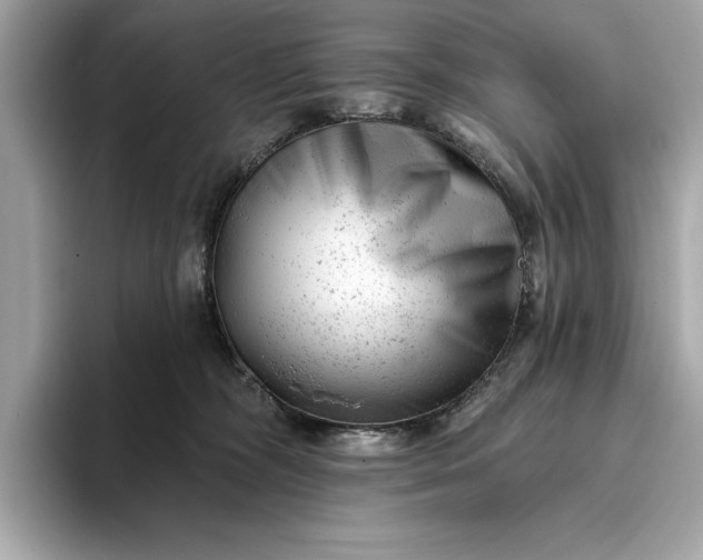 X0000093420326200710261004