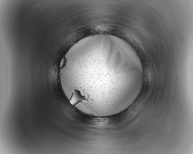 X0000093420328200710261004