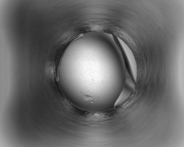 X0000093420329200710261004