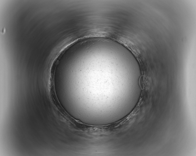 X0000093420338200710261003