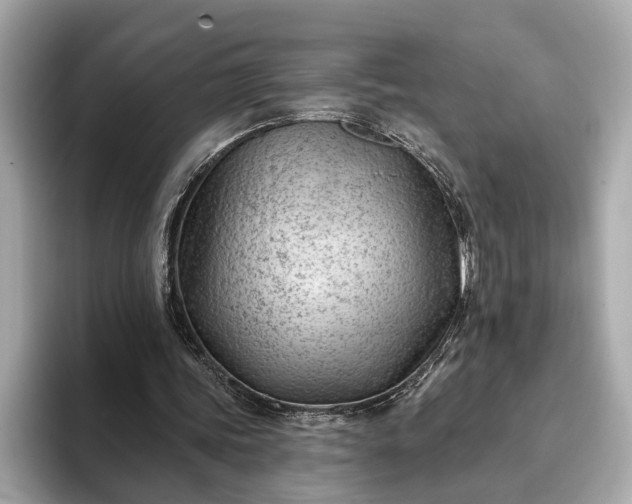 X0000093420339200710261003