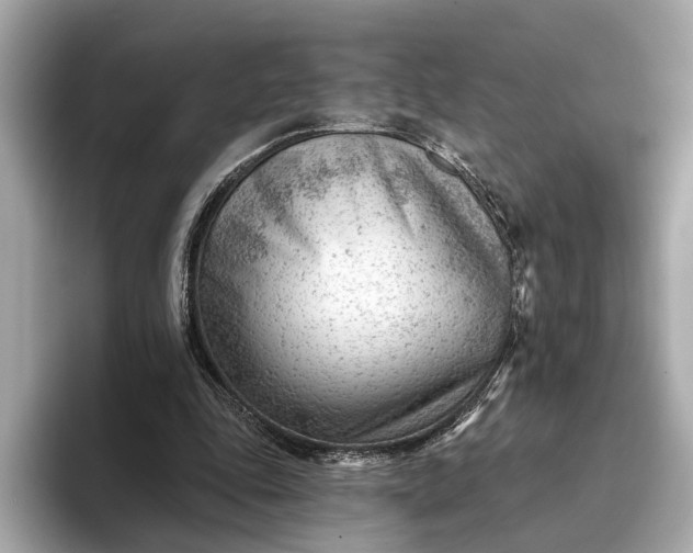 X0000093420343200710261003