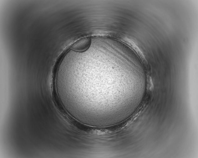 X0000093420346200710261003