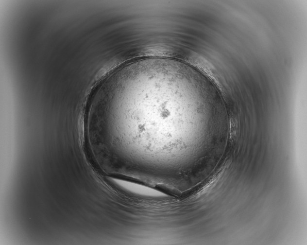 X0000093420349200710261003