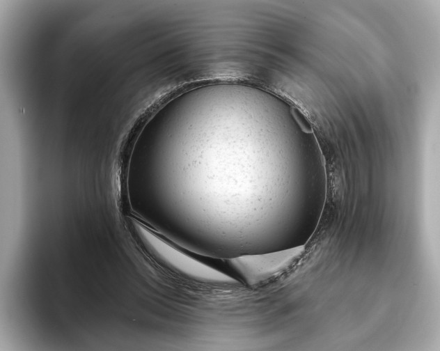 X0000093420350200710261003