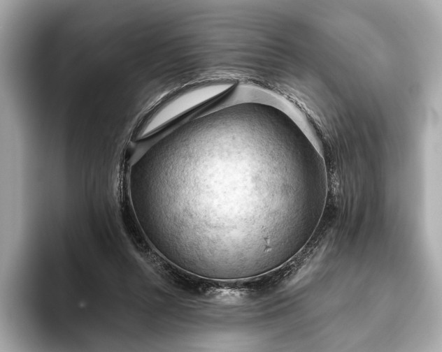 X0000093420352200710261003