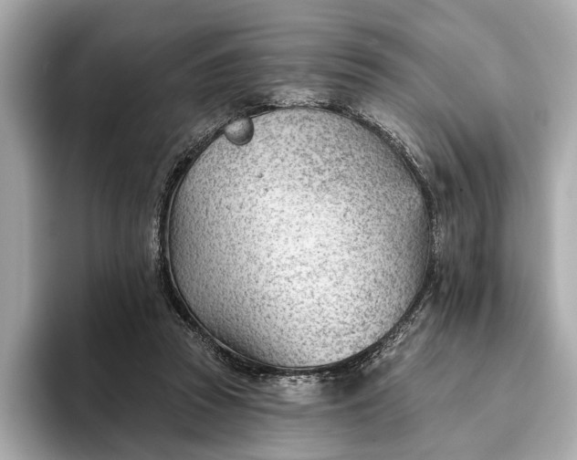 X0000093420353200710261003