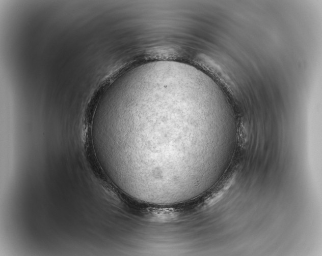 X0000093420355200710261003