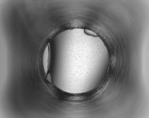 X0000093420356200710261003