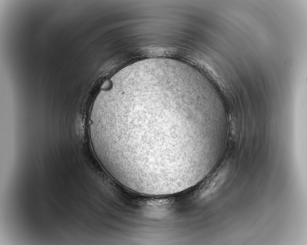 X0000093420357200710261003