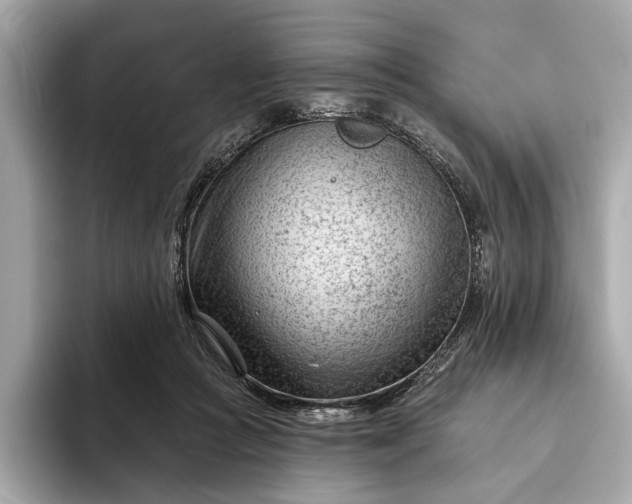 X0000093420361200710261003