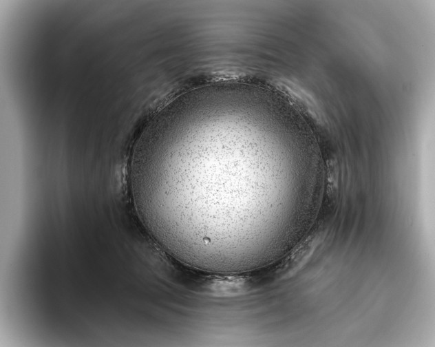 X0000093420369200710261003