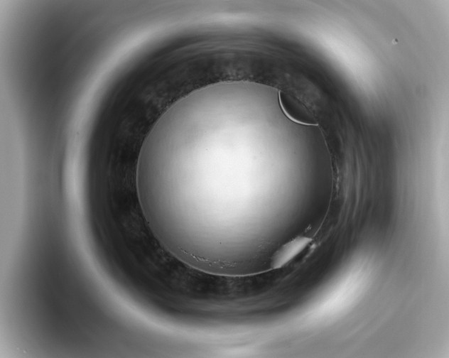 X0000093420383200710261004