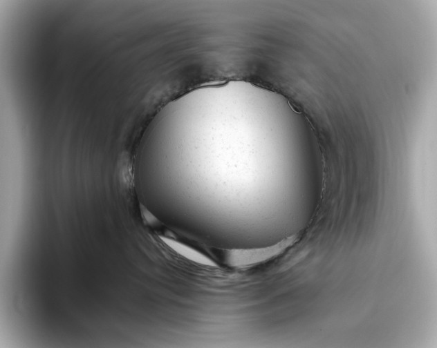 X0000093420384200710261004