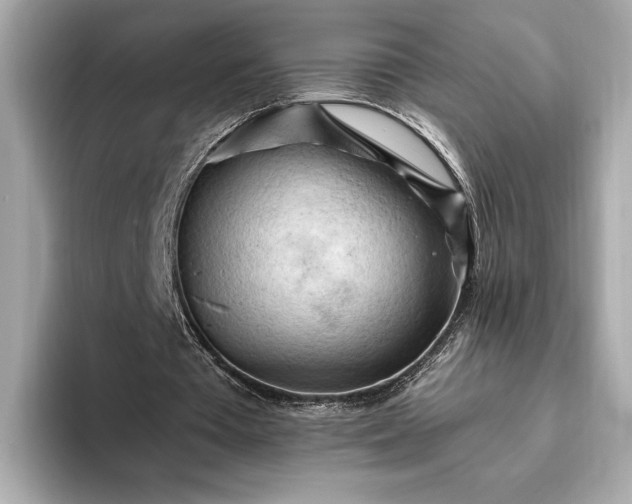 X0000093420385200710261003