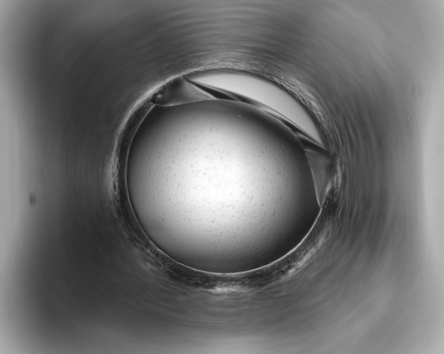 X0000093420388200710261003