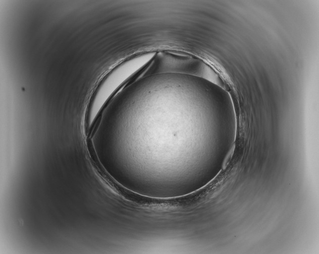 X0000093420389200710261003