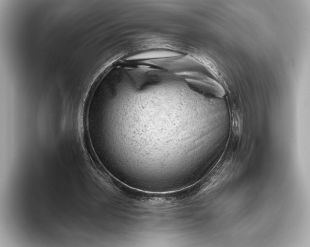 X0000093420390200710261003