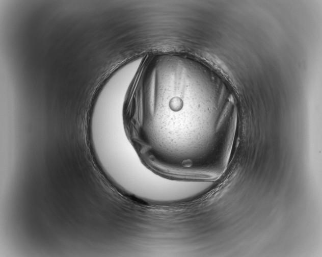 X0000093420393200710261003