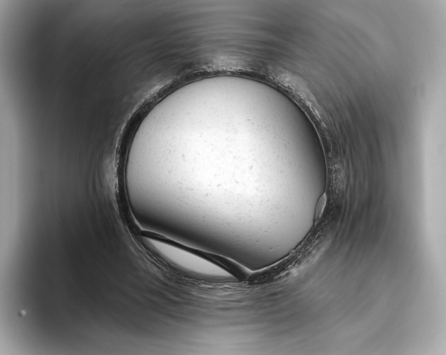 X0000093420395200710261003