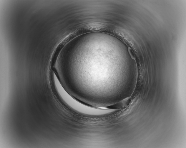 X0000093420399200710261003