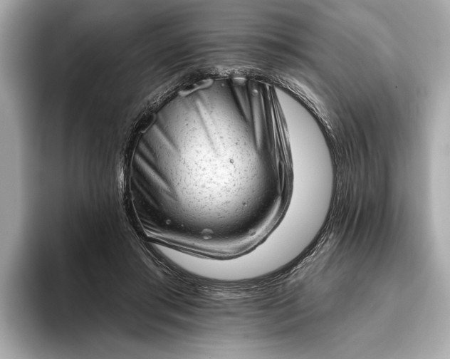 X0000093420405200710261003