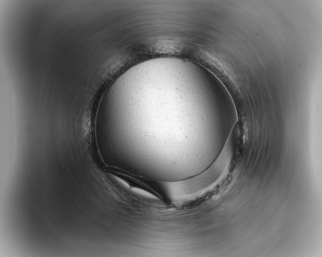 X0000093420407200710261003