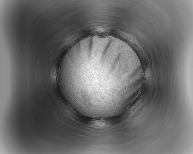 X0000093420423200710261002