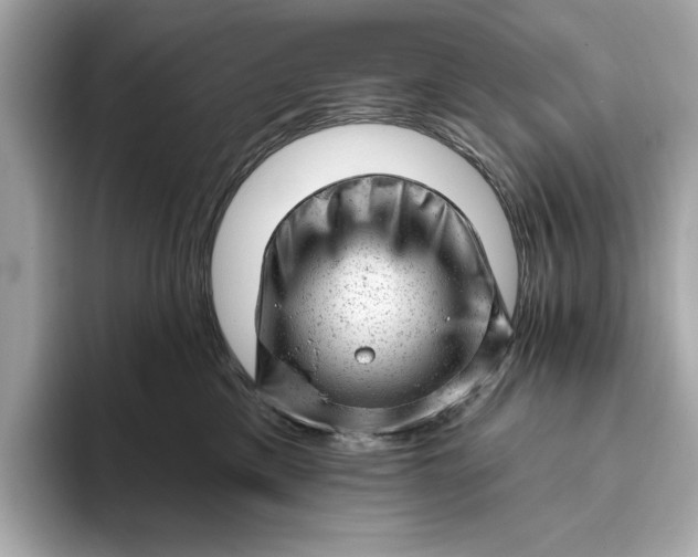 X0000093420425200710261002