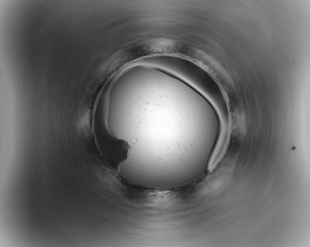 X0000093420428200710261002