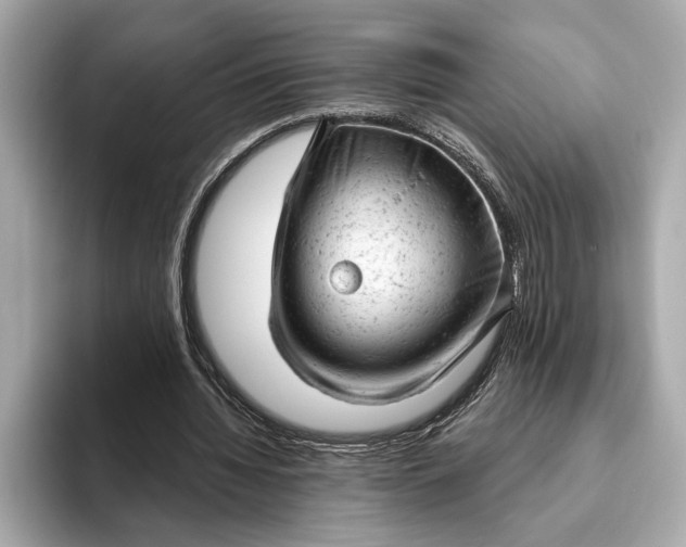 X0000093420436200710261002