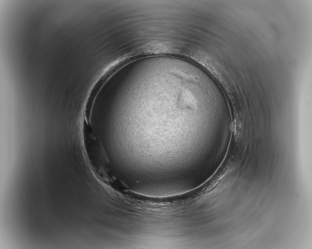 X0000093420438200710261002