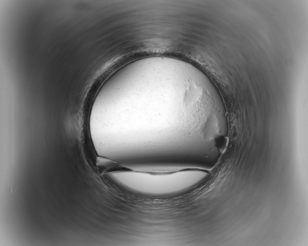 X0000093420440200710261002